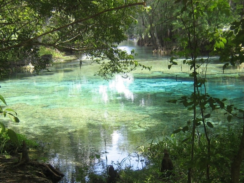 Las 10 más bellas piscinas naturales en el mundo