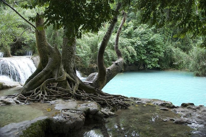 Las 10 más bellas piscinas naturales en el mundo