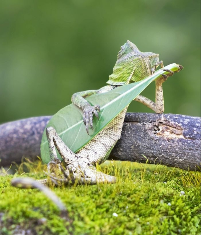 Las 100 mejores fotos sin photoshop