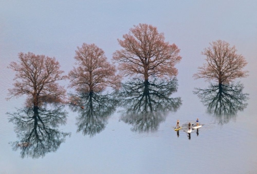 Las 100 mejores fotos sin photoshop