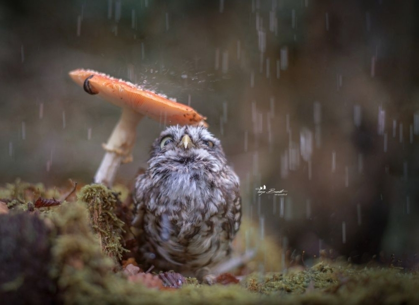 Las 100 mejores fotos sin photoshop