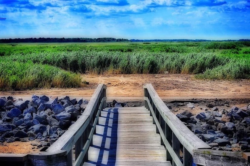 Las 50 fotos más impresionantes que representan los 50 estados de América