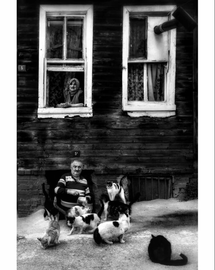Las impactantes imágenes de este fotógrafo muestran la Turquía rural. Aquí están sus 15 mejores fotografías Las impactantes imágenes de este fotógrafo muestran la Turquía rural. Aquí están sus 15 mejores fotografías
