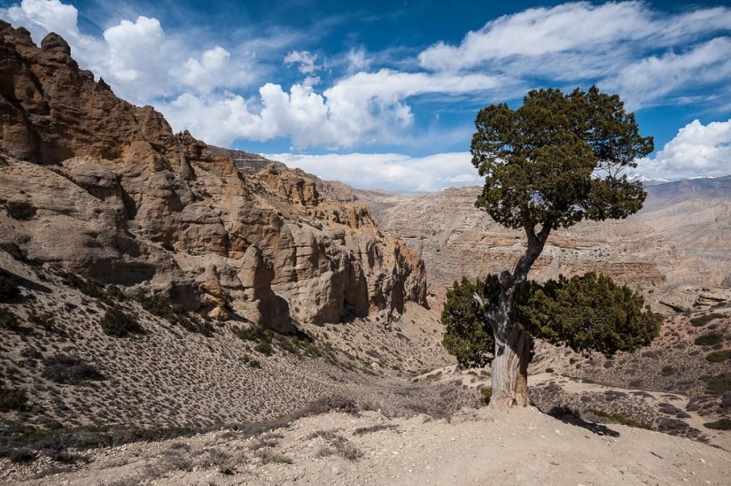 Las montañas son mejores que las montañas.
