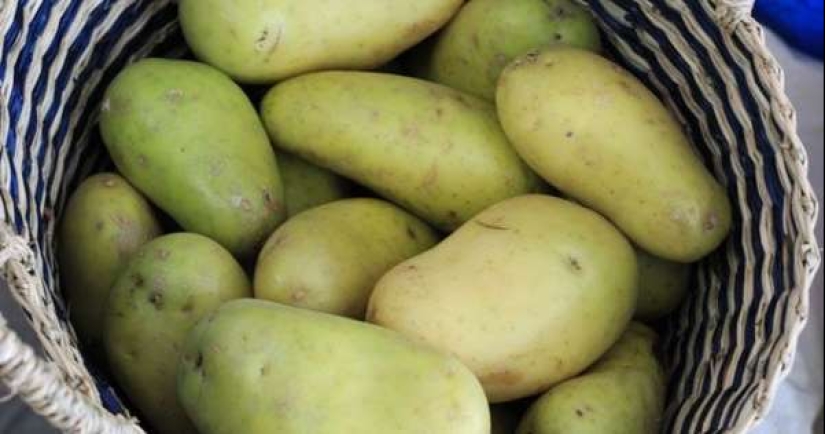 Las papas, los frijoles y los 7 alimentos que te puede matar Las papas, los frijoles y los 7 alimentos que te puede matar