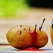 Las papas, los frijoles y los 7 alimentos que te puede matar Las papas, los frijoles y los 7 alimentos que te puede matar