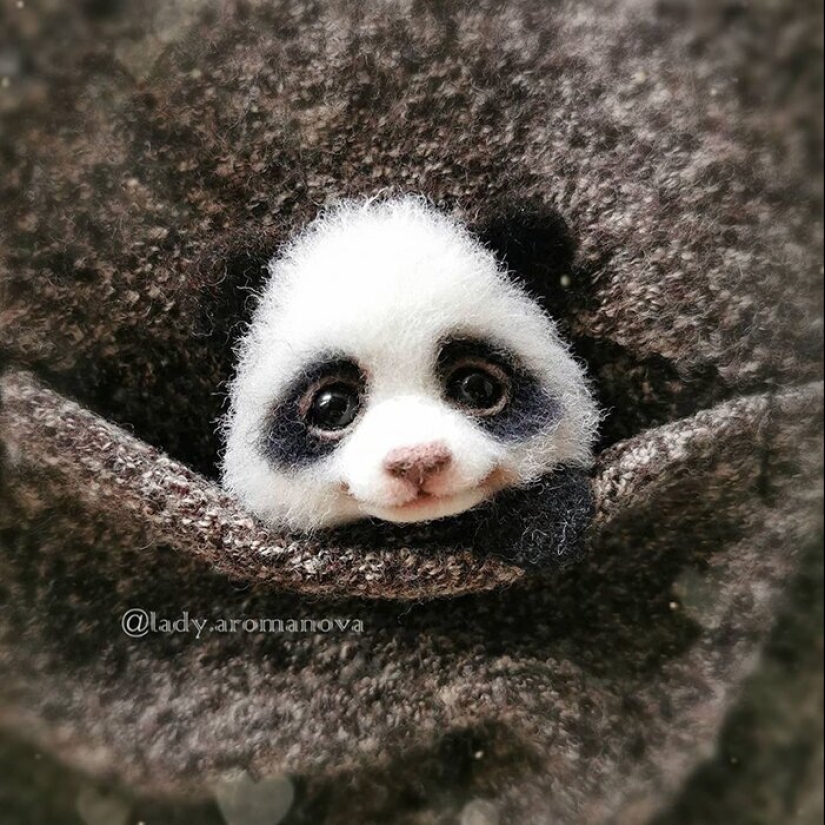 Las patas de los zorros y otros adorables animalitos amantes Anna Romanova Las patas de los zorros y otros adorables animalitos amantes Anna Romanova