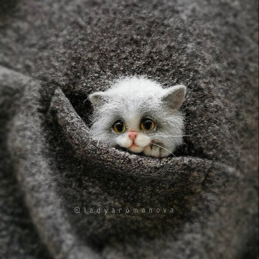 Las patas de los zorros y otros adorables animalitos amantes Anna Romanova Las patas de los zorros y otros adorables animalitos amantes Anna Romanova