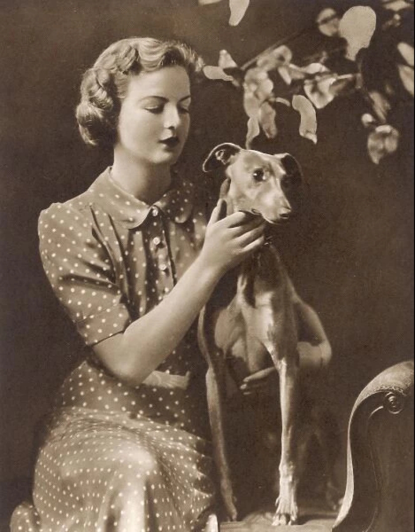 Las seis hermanas Mitford, o los destinos entretejidos en la trama del siglo Las seis hermanas Mitford, o los destinos entretejidos en la trama del siglo