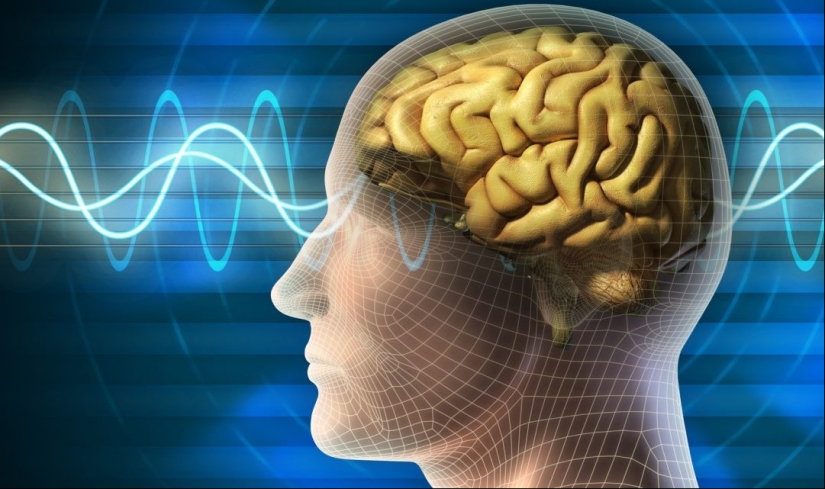 "Lateral thinking": the traps of the brain that prevent us from thinking, and ways to avoid them "Lateral thinking": the traps of the brain that prevent us from thinking, and ways to avoid them