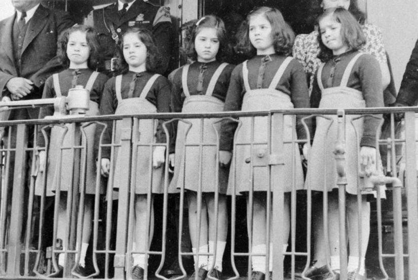 Life in the "zoo": the tragic fate of the five-year-olds Dion