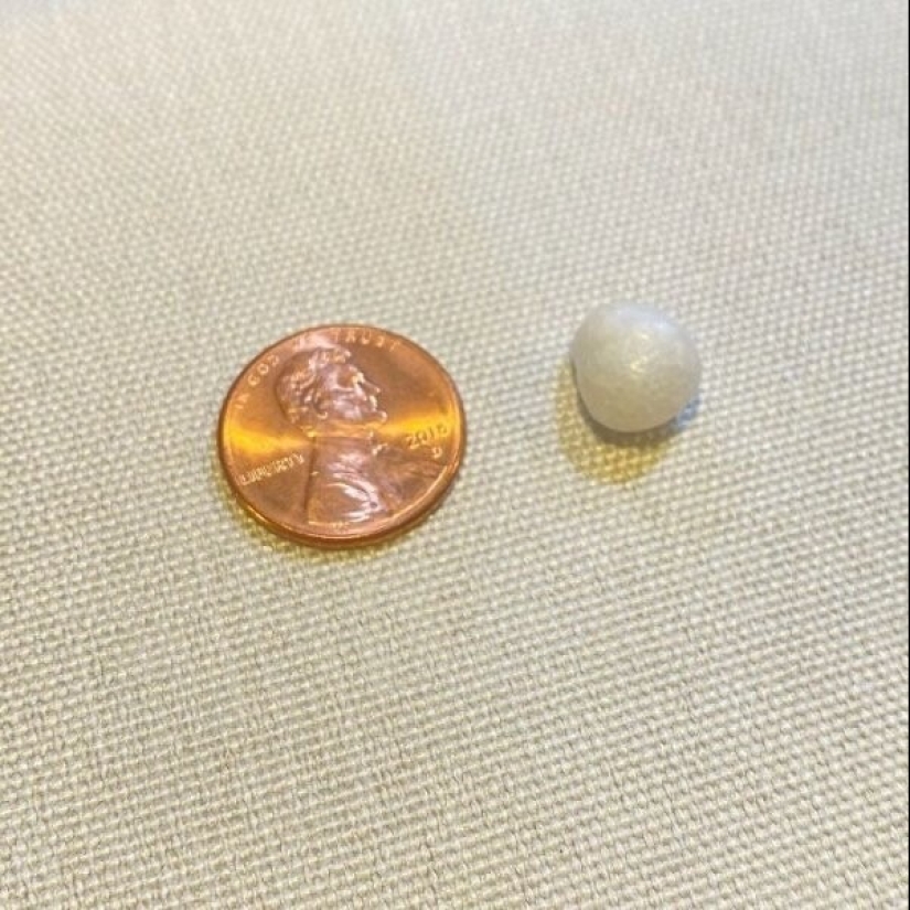 Life is full of surprises! 22 unexpected finds that caused a lot of emotions