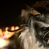 "Like the devil from incense": how did this phrase appear and what other smells are the evil spirits afraid of