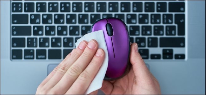Limpieza de la garantía de la salud: cómo desinfectar el ratón y el teclado