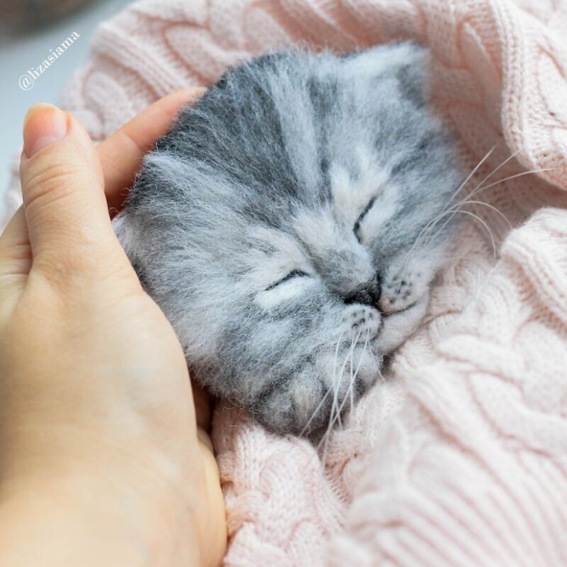 Lindos gatitos hechos de fieltro de la costurera Elizabeth Delektorskaya