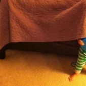 Little champions of the game of hide and seek Little champions of the game of hide and seek