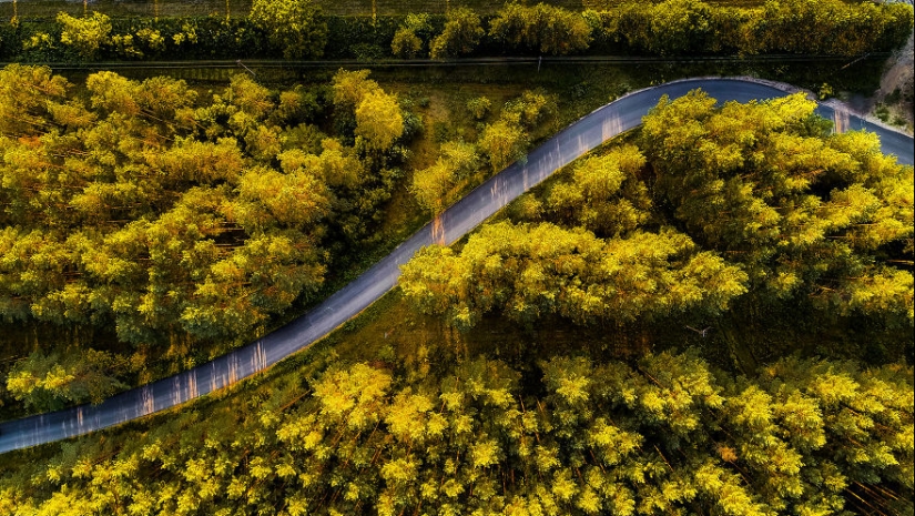 Little Lithuania, it turns out, is incredibly beautiful