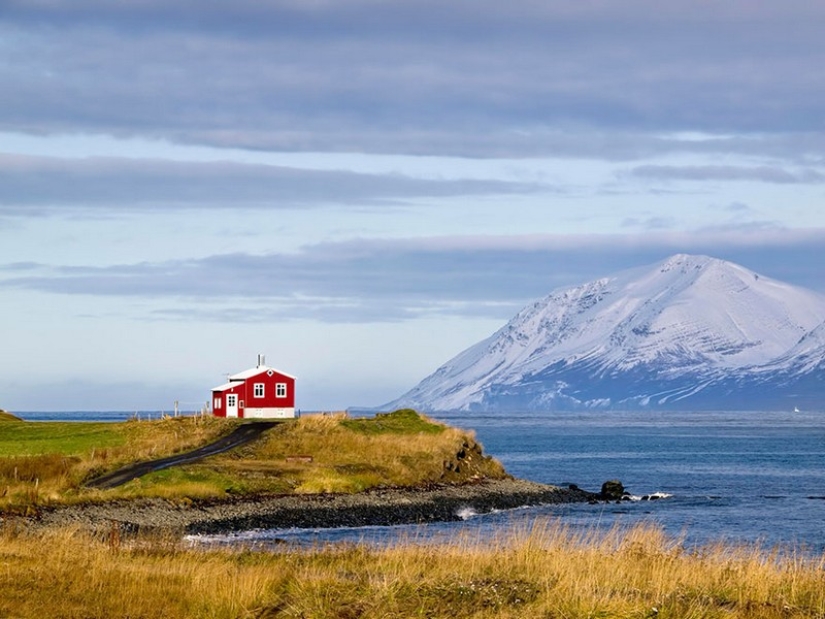Little lonely houses for single people