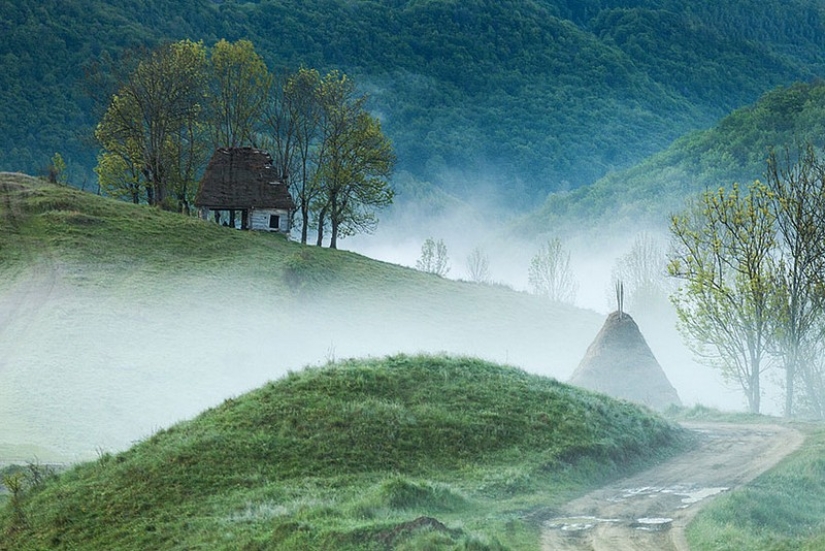 Little lonely houses for single people