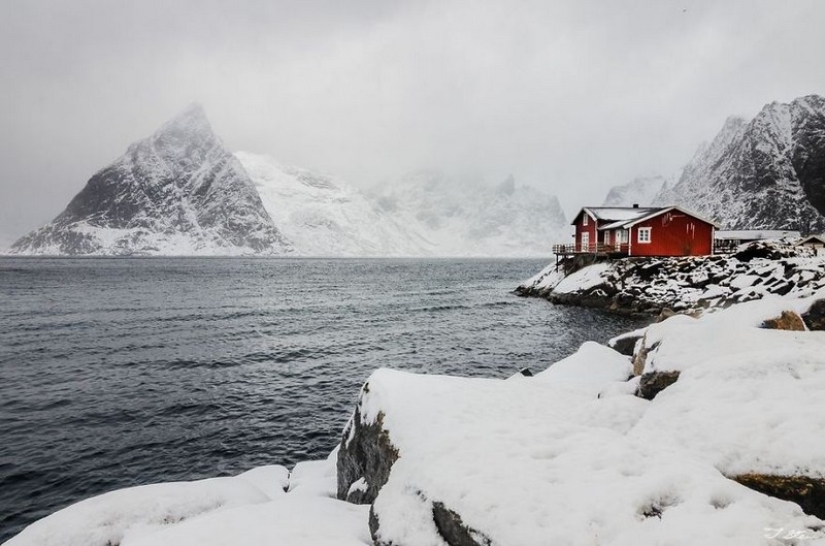 Little lonely houses for single people