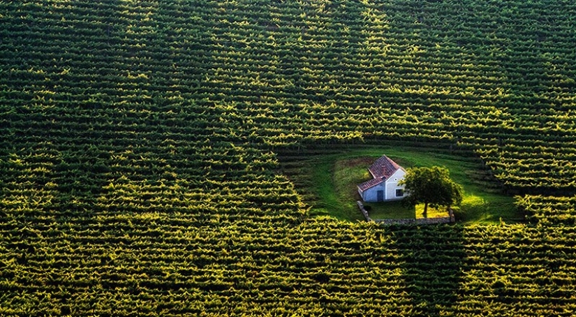 Little lonely houses for single people