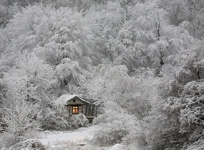 Little lonely houses for single people