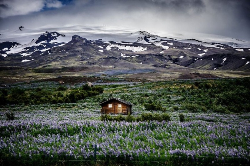 Little lonely houses for single people