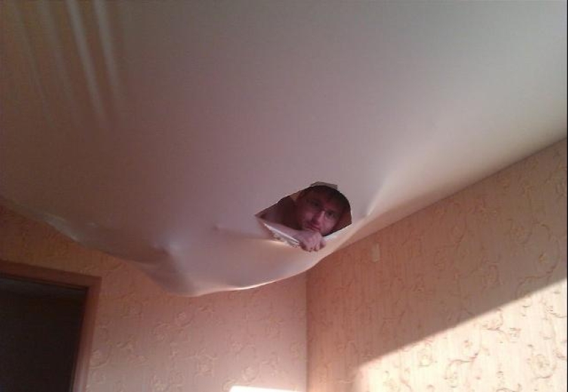 Llenó de nuevo de los vecinos? Epic fotos que te harán pensar en mudarse a una casa privada Llenó de nuevo de los vecinos? Epic fotos que te harán pensar en mudarse a una casa privada