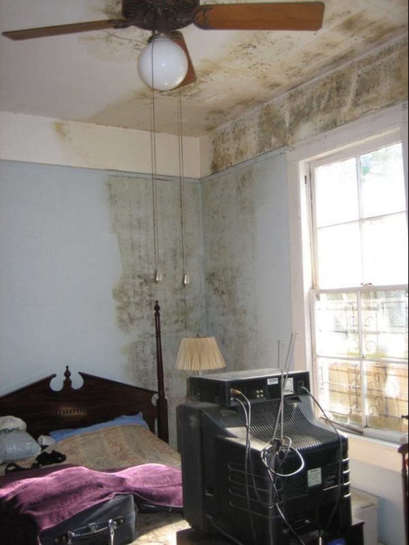 Llenó de nuevo de los vecinos? Epic fotos que te harán pensar en mudarse a una casa privada Llenó de nuevo de los vecinos? Epic fotos que te harán pensar en mudarse a una casa privada