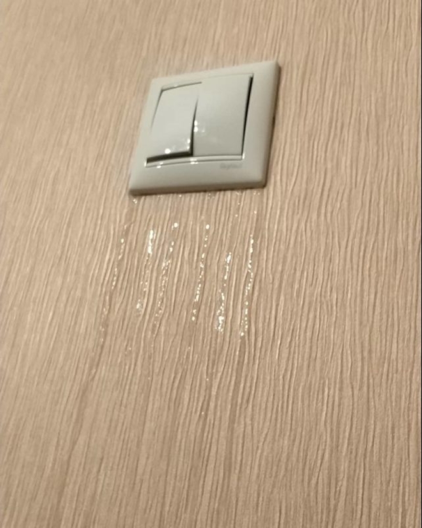 Llenó de nuevo de los vecinos? Epic fotos que te harán pensar en mudarse a una casa privada Llenó de nuevo de los vecinos? Epic fotos que te harán pensar en mudarse a una casa privada