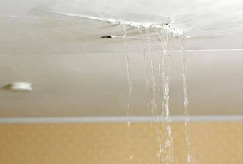 Llenó de nuevo de los vecinos? Epic fotos que te harán pensar en mudarse a una casa privada Llenó de nuevo de los vecinos? Epic fotos que te harán pensar en mudarse a una casa privada