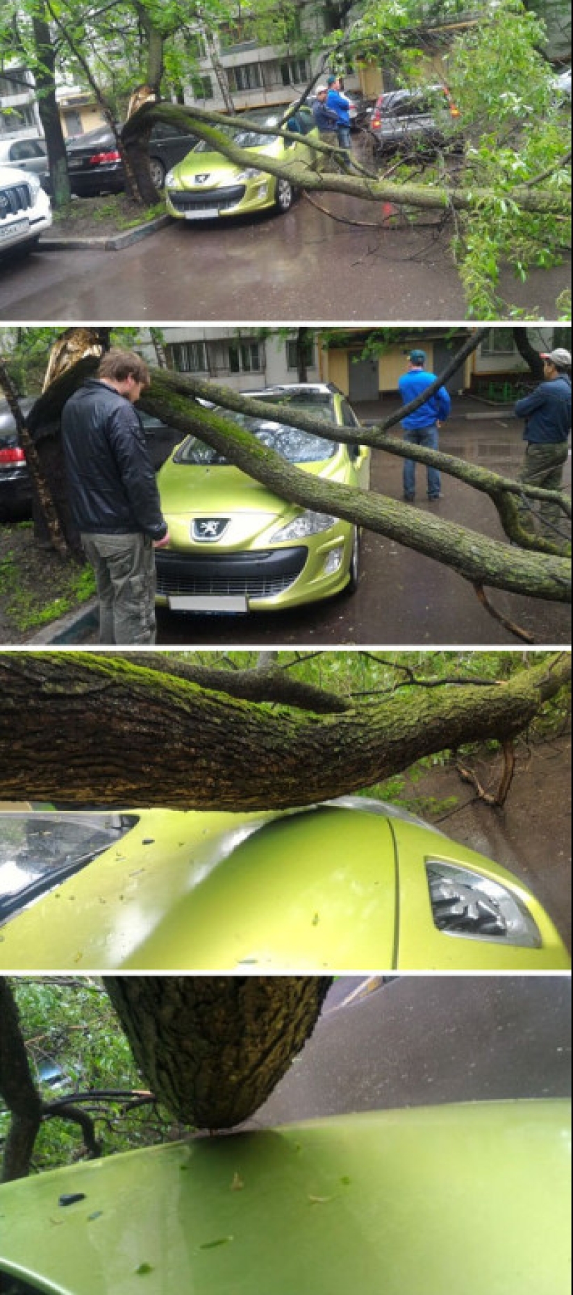 Llevado a cabo: 11 historias sobre cómo una oportunidad afortunada ayudó a evitar una tragedia Llevado a cabo: 11 historias sobre cómo una oportunidad afortunada ayudó a evitar una tragedia