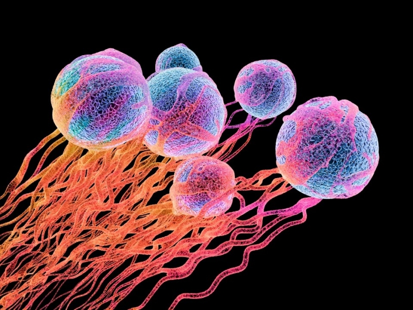 Lo de la edad para venir a los ee.uu. se prepara: ¿cuál será nuestra vida en el año 2050