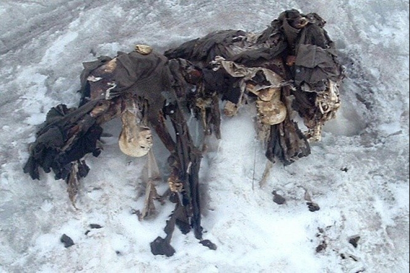 Lo que esconde el hielo: 12 hallazgos aterradores encontrados en glaciares