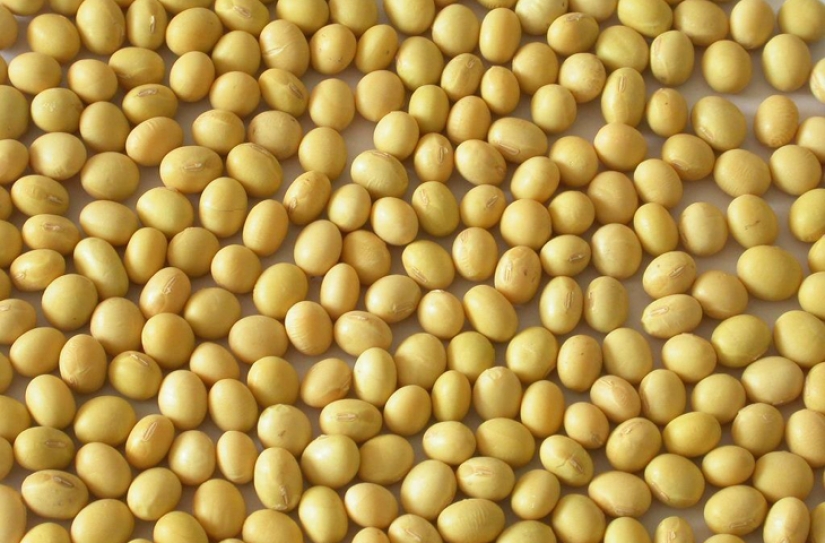 Lo que no escribirán en las etiquetas: lo que necesita saber sobre 10 aditivos alimentarios "dañinos"