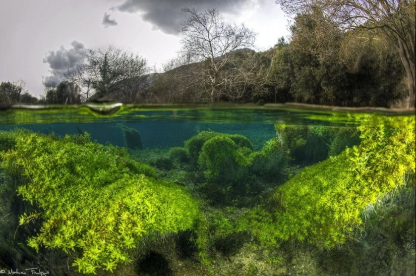 Lo que se esconde bajo el agua: 34 fotos increíbles