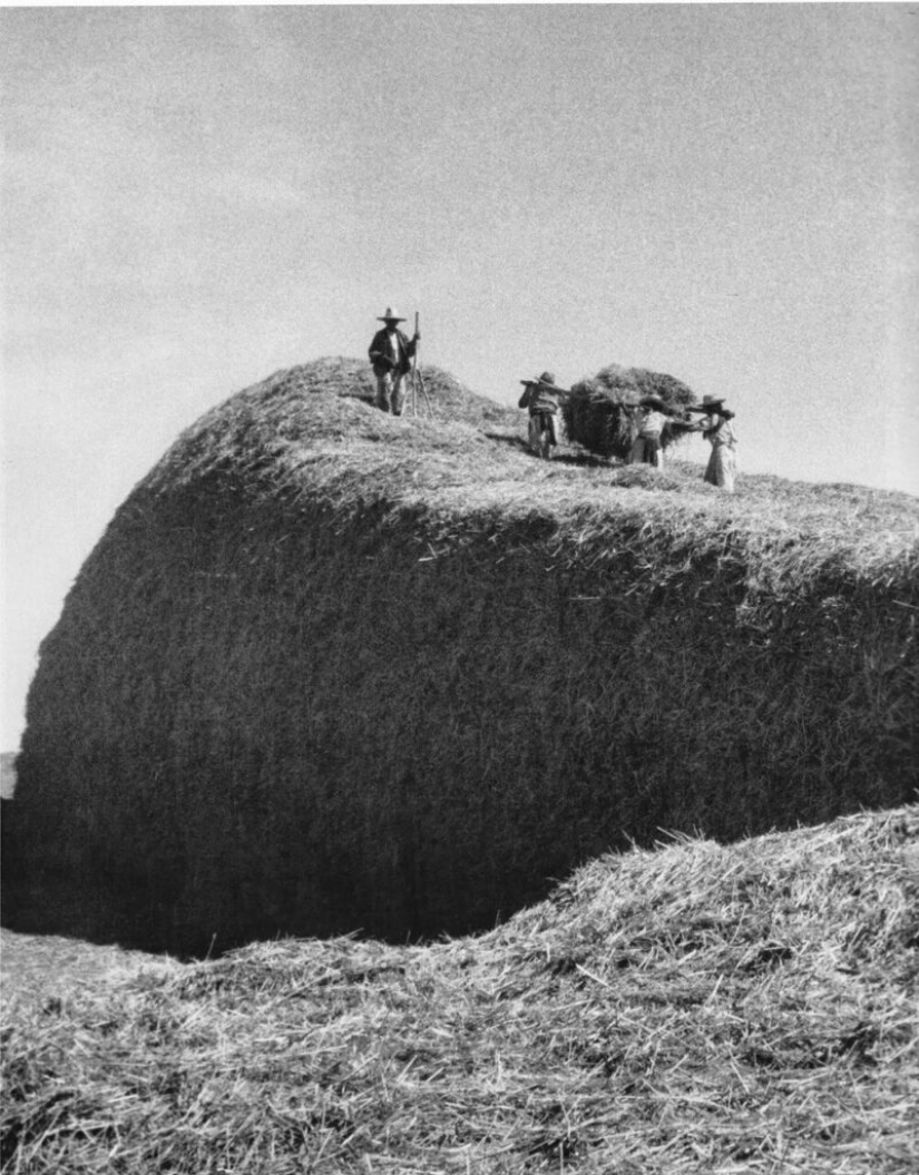 Lola Alvarez Bravo - Fotografía mexicana en manos femeninas Lola Alvarez Bravo - Fotografía mexicana en manos femeninas