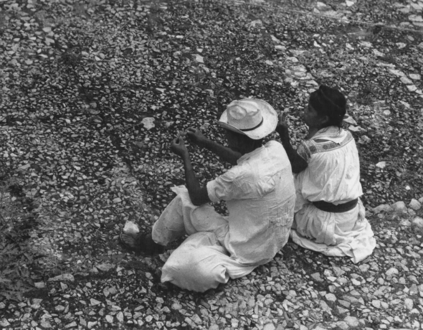 Lola Alvarez Bravo - Fotografía mexicana en manos femeninas Lola Alvarez Bravo - Fotografía mexicana en manos femeninas