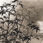 Long Chinsan: Fundador del pictorrealismo y primer fotógrafo de desnudos de China