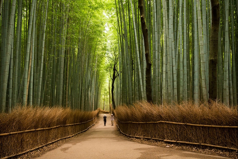 Los 15 lugares más bellos de Japón Los 15 lugares más bellos de Japón