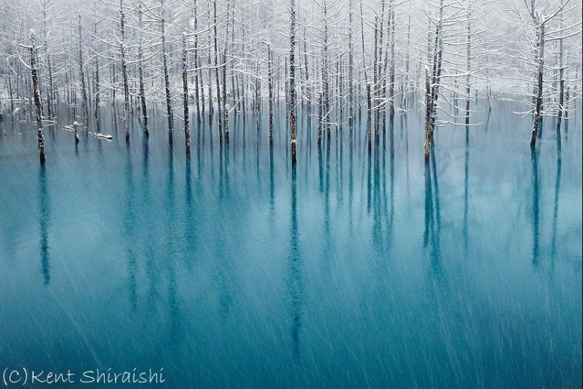 Los 15 lugares más bellos de Japón Los 15 lugares más bellos de Japón