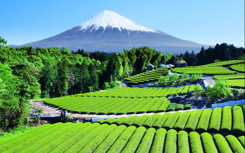 Los 15 lugares más bellos de Japón Los 15 lugares más bellos de Japón