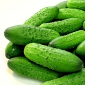 Los 20 mejores alimentos para quemar grasa y regular el metabolismo Los 20 mejores alimentos para quemar grasa y regular el metabolismo