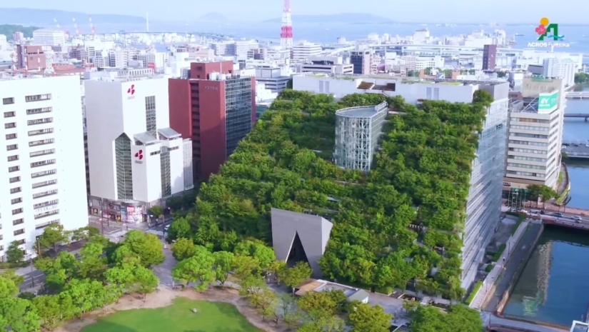 Los arquitectos de estas casas demostraron que se puede crear un jardín incluso en el tejado Los arquitectos de estas casas demostraron que se puede crear un jardín incluso en el tejado