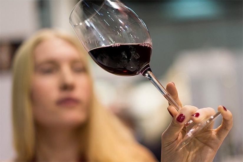 Los científicos se sorprendieron por un nuevo descubrimiento: beber para los ancianos es más útil que los deportes