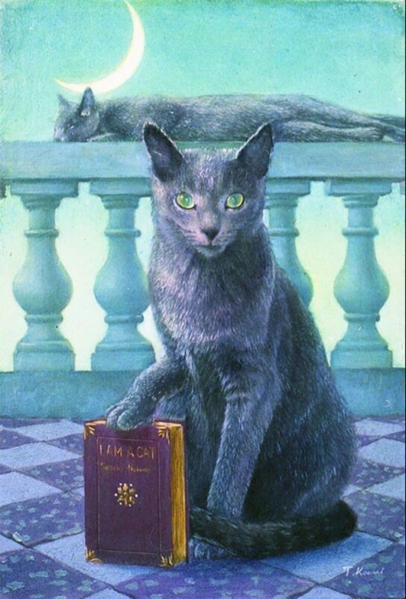 Los gatos son los reyes en la obra de un talentoso artista Japonés, el maestro tokujiro kawaii Los gatos son los reyes en la obra de un talentoso artista Japonés, el maestro tokujiro kawaii