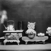 Los gatos y cachorros retro de Harry Witter que causaron sensación hace 100 años Los gatos y cachorros retro de Harry Witter que causaron sensación hace 100 años
