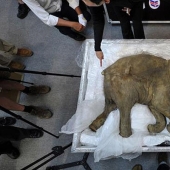 Los hallazgos más sensacionales jamás descubiertos en glaciares