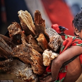 Los últimos cazadores y recolectores: la vida de una tribu primitiva en Nepal