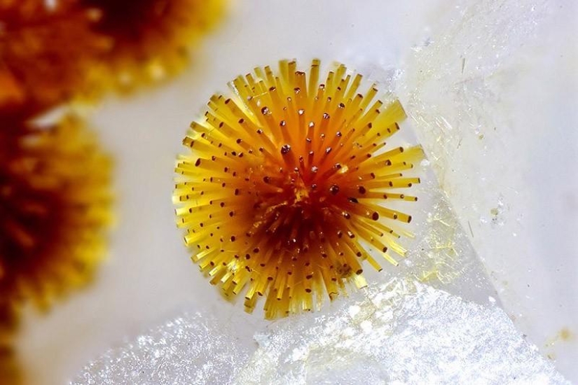 Los minerales más sorprendentes Los minerales más sorprendentes